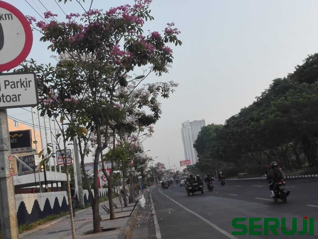Sakura Surabaya