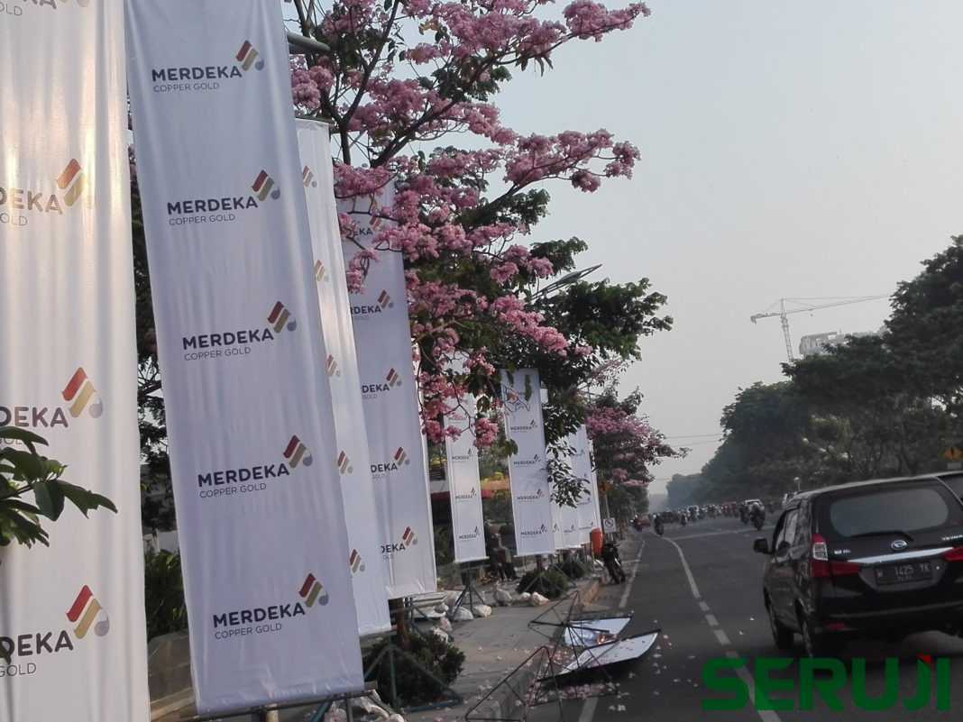 Sakura Surabaya