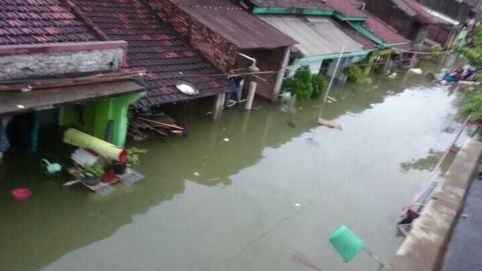 10 Rumah di Demak Roboh Diterjang Banjir Rob — SERUJI