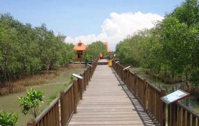 Pemandangan Kebun Raya Mangrove Surabaya