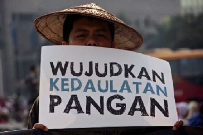 Kedaulatan pangan