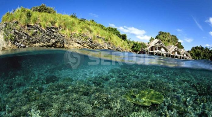 Misool Protected Area 1
