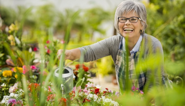 Berkebun di Halaman Rumah-pun Dapat Membuat Anda Lebih ...