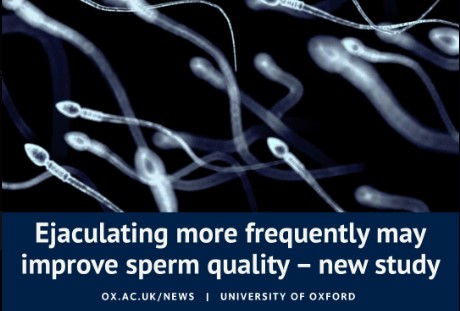 Penelitian Oxford Kualitas Sperma